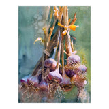 Still Life Garlic (Print Only) thumbnail