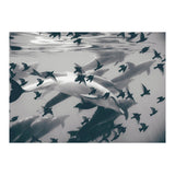 Found Out (Print Only) thumbnail