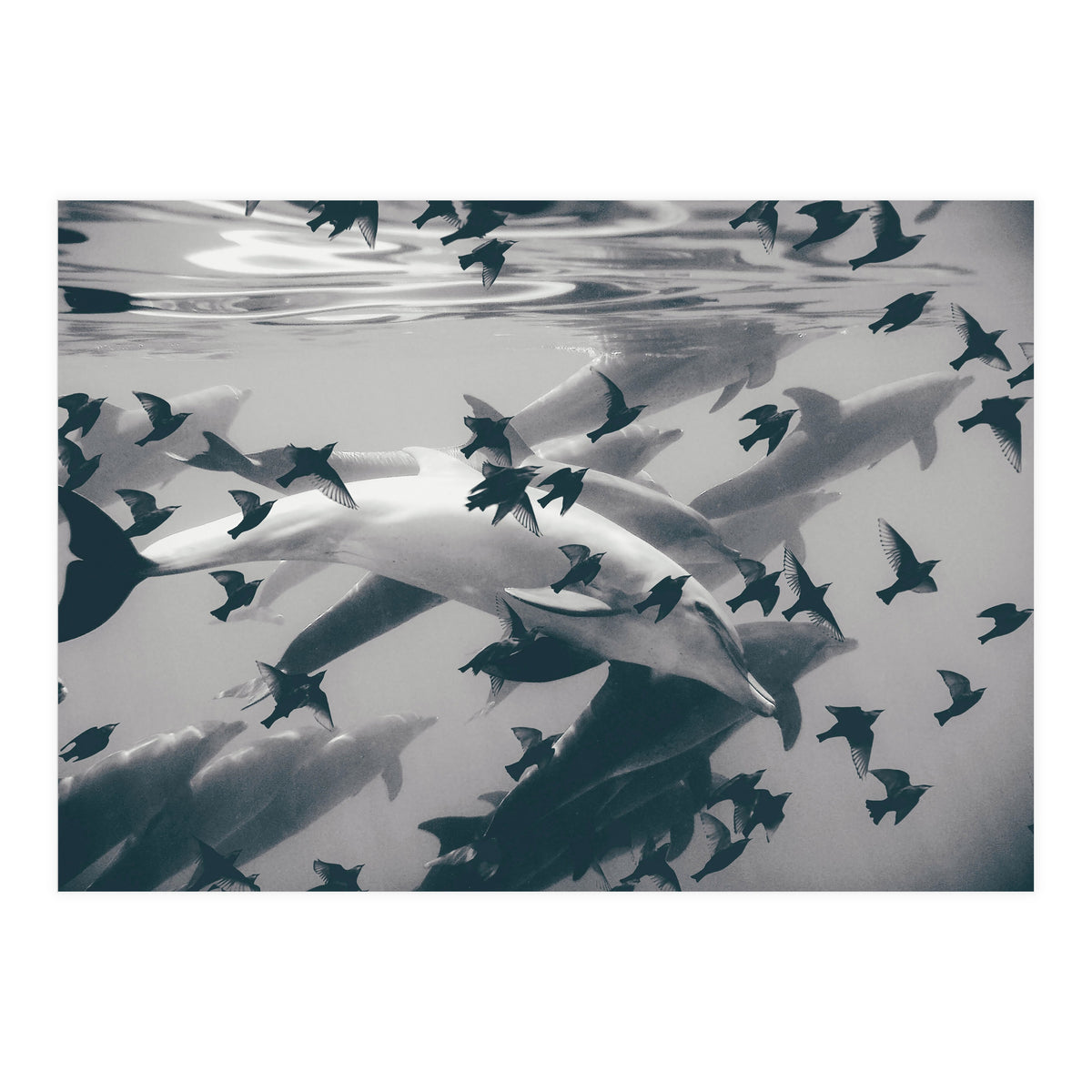 Found Out (Print Only)