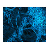Blue (Print Only) thumbnail