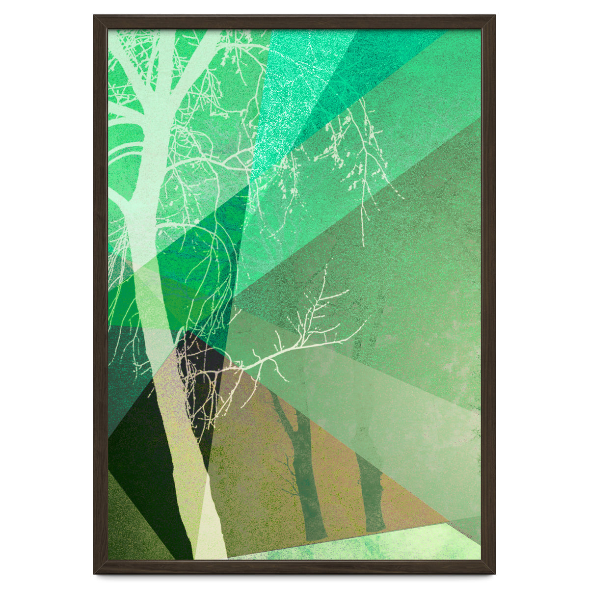 P22-B6 Trees And Triangles