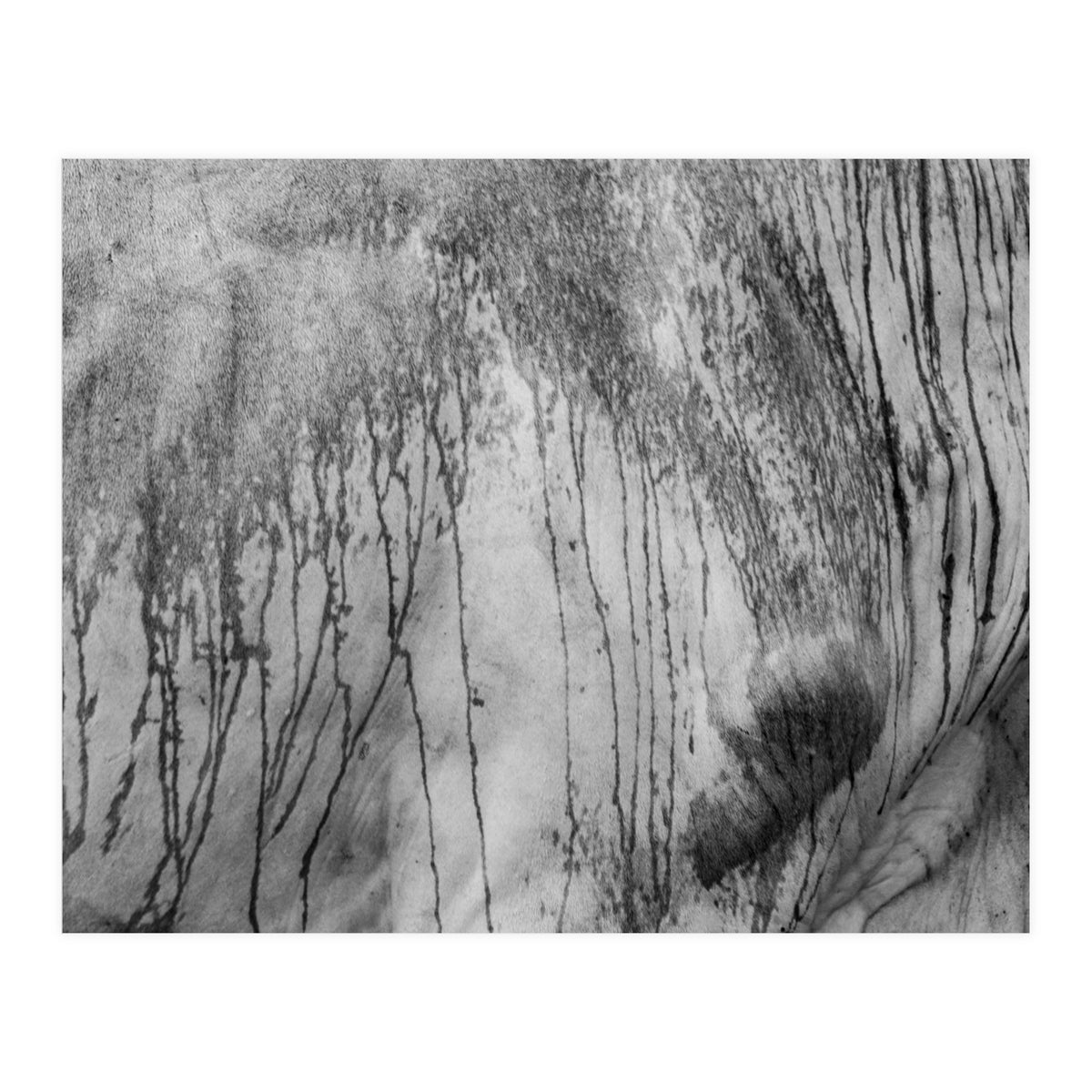 Abstract #2 (Print Only)