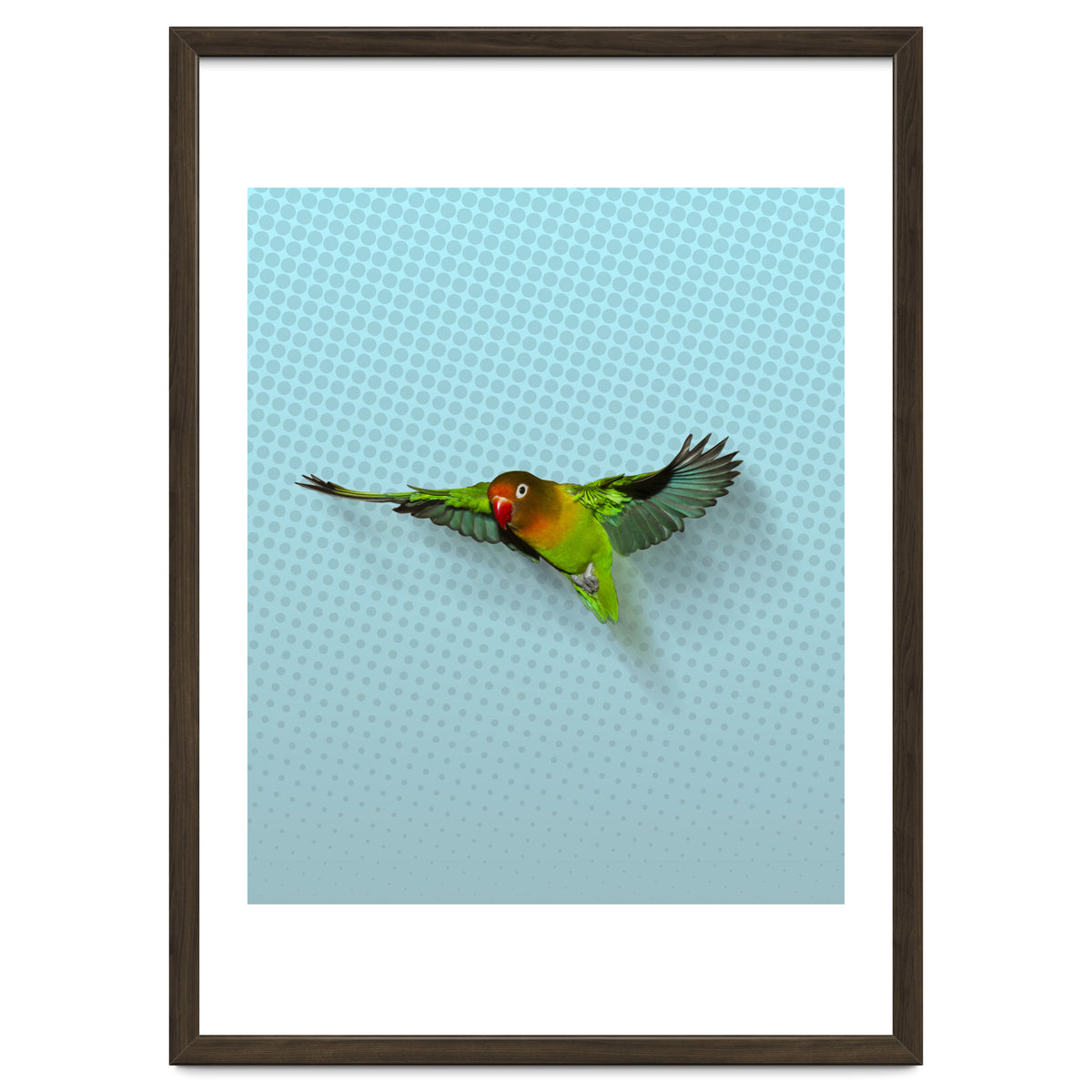 Flying lovebird