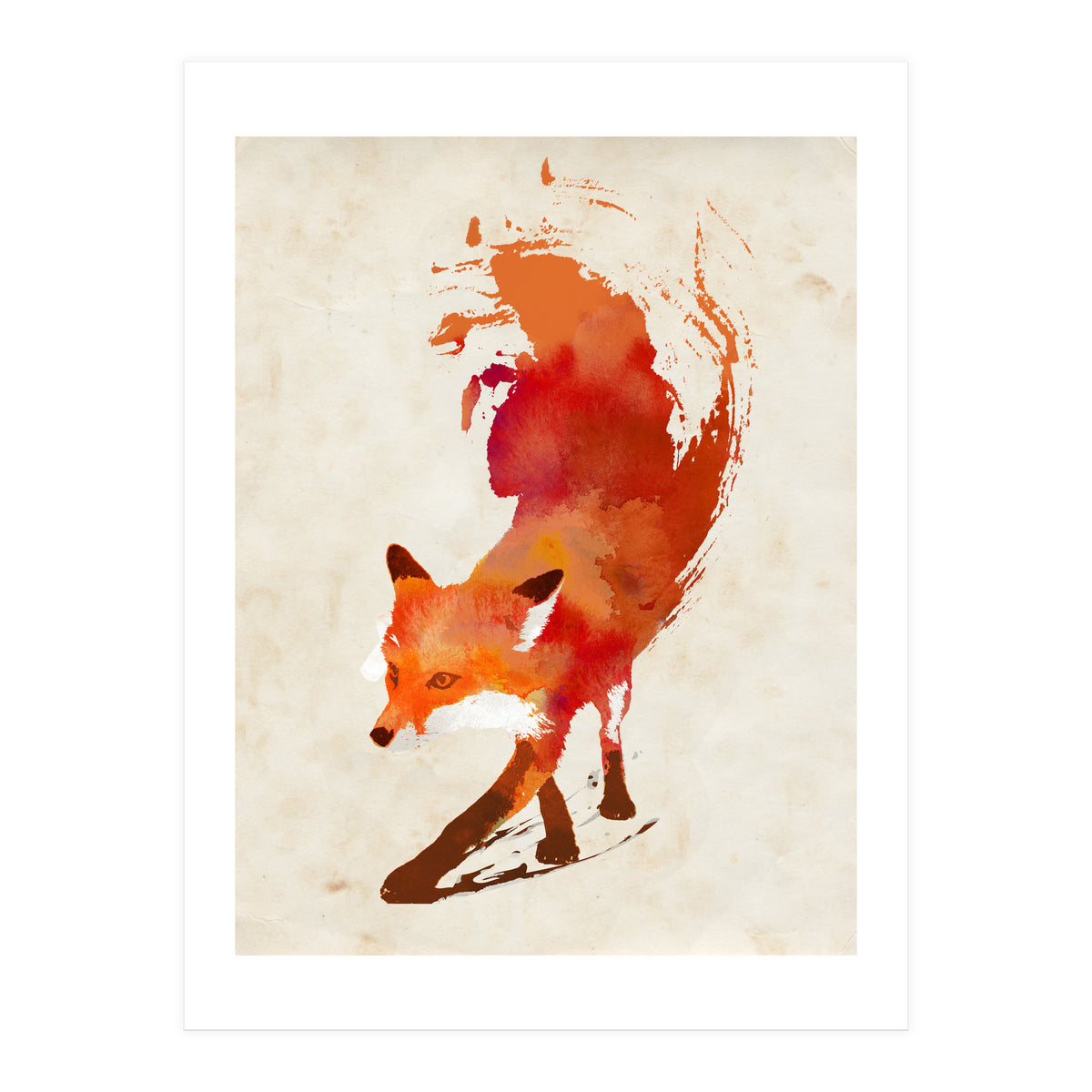Vulpes Vulpes (Print Only)