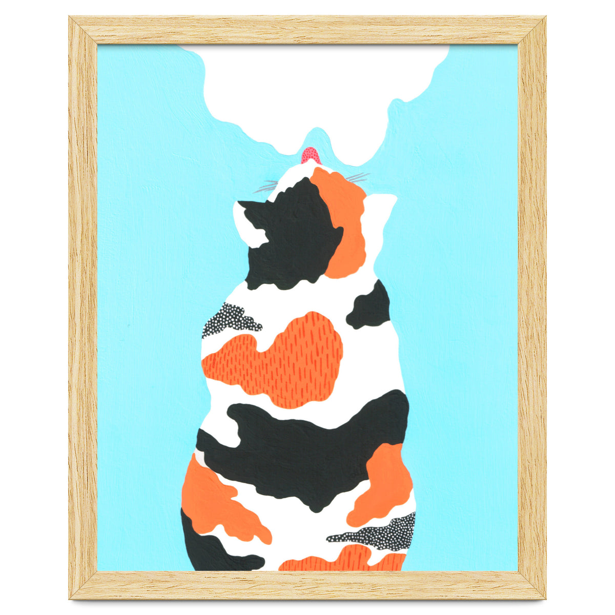 Tri Colored Calico Cat