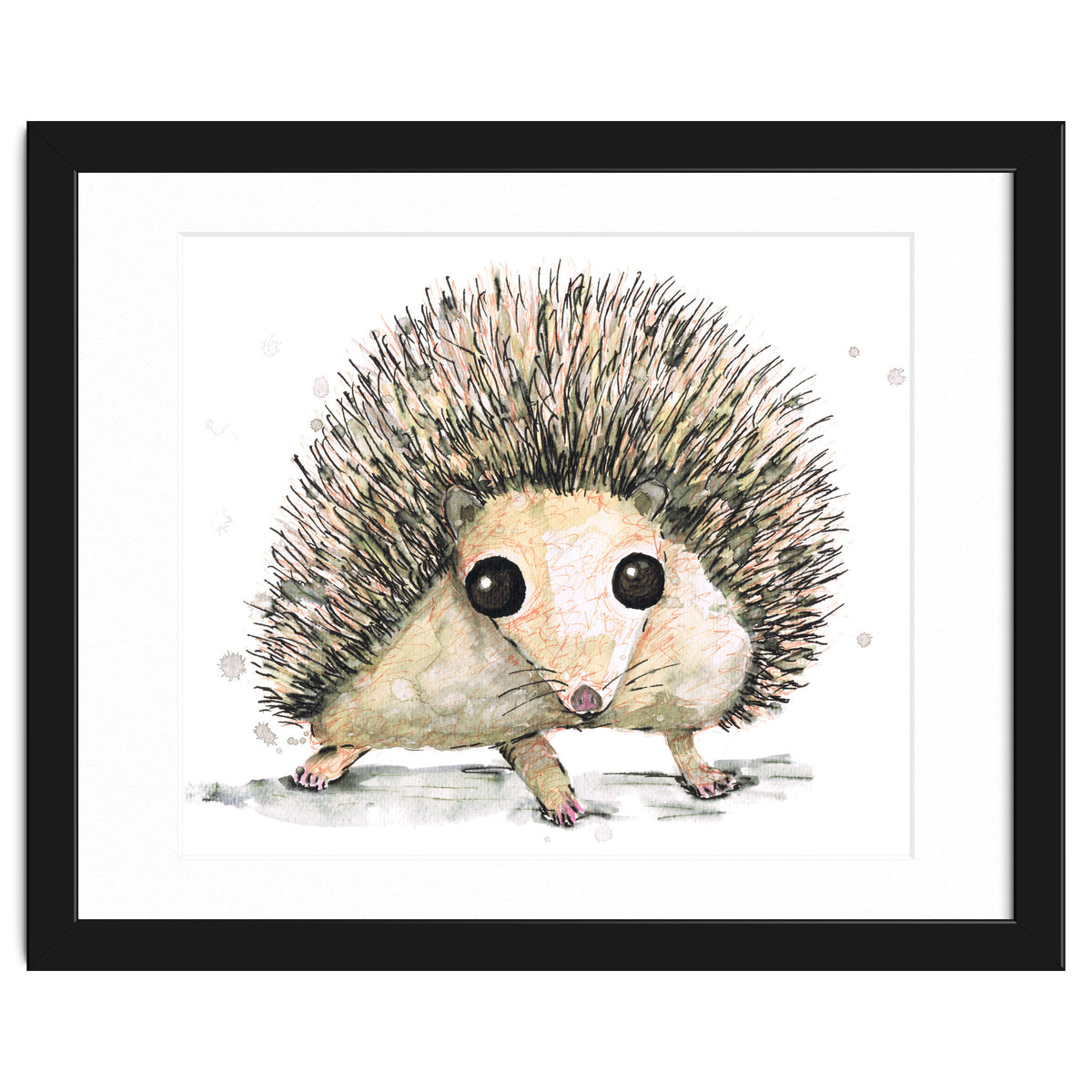 Hedgehog