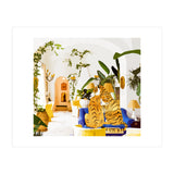 Tiger Reserve (Print Only) thumbnail
