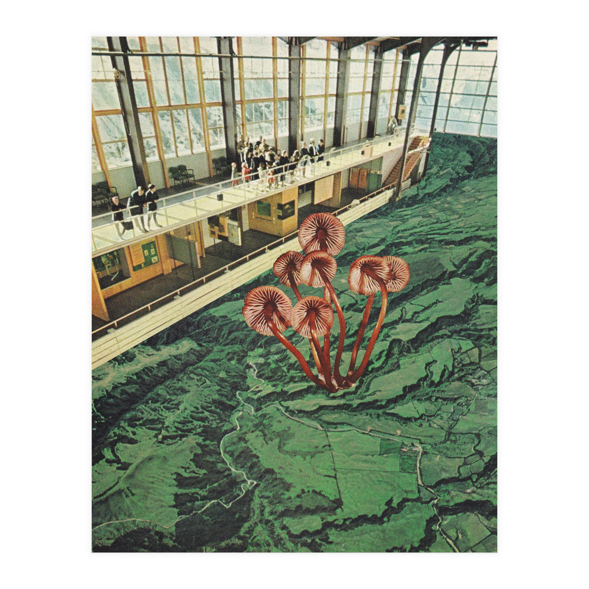 Mushroom Greenhouse (Print Only)