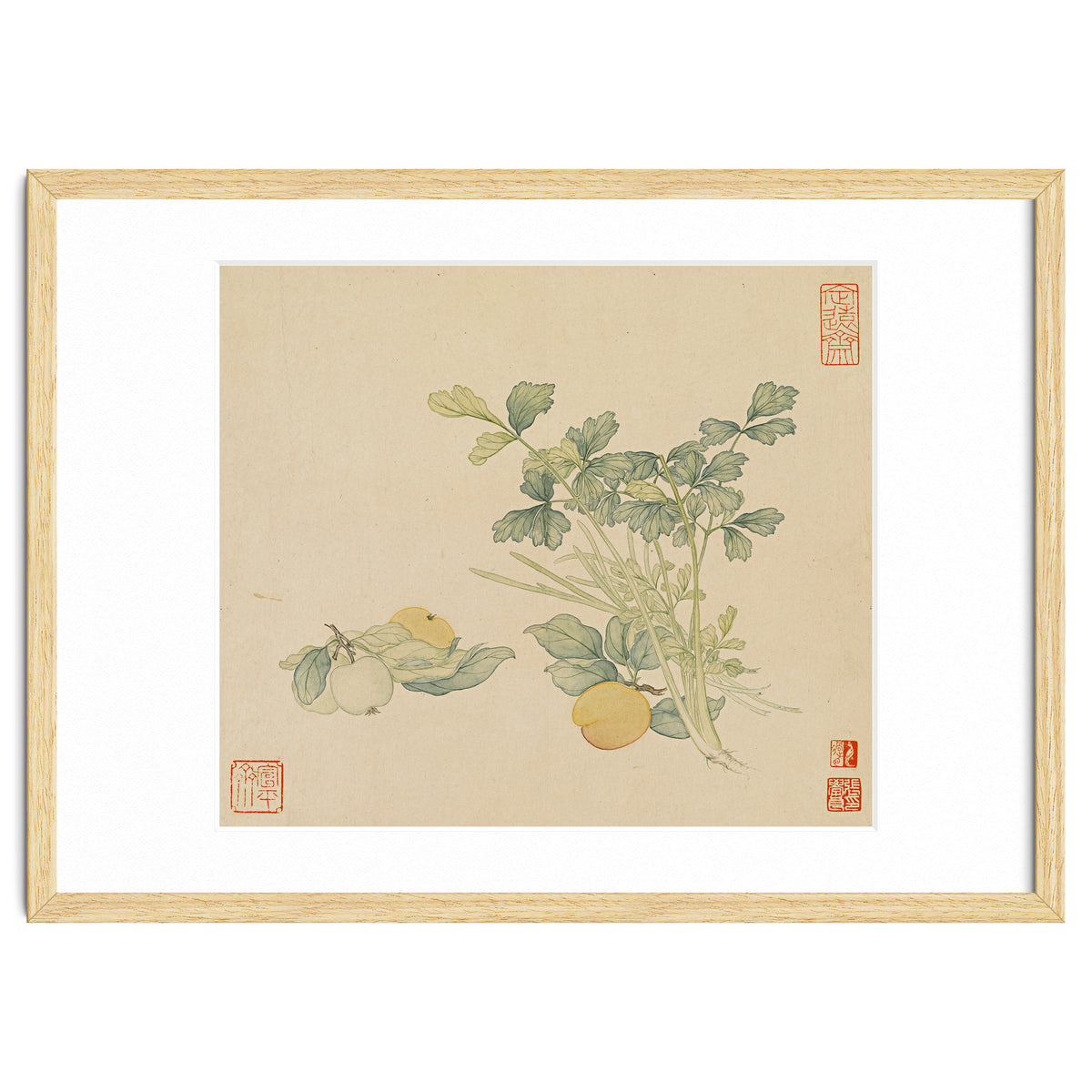 Wang Chengyu~flowers And Vegetables, Vegetables, Fruits, Plums, Apricots, Celery