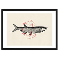 Fish In Geometrics II