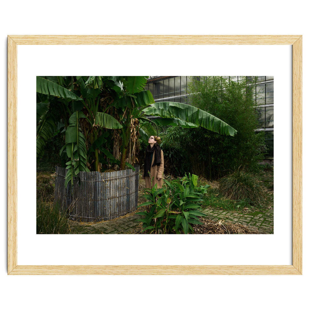 Transition from Summer to Winter