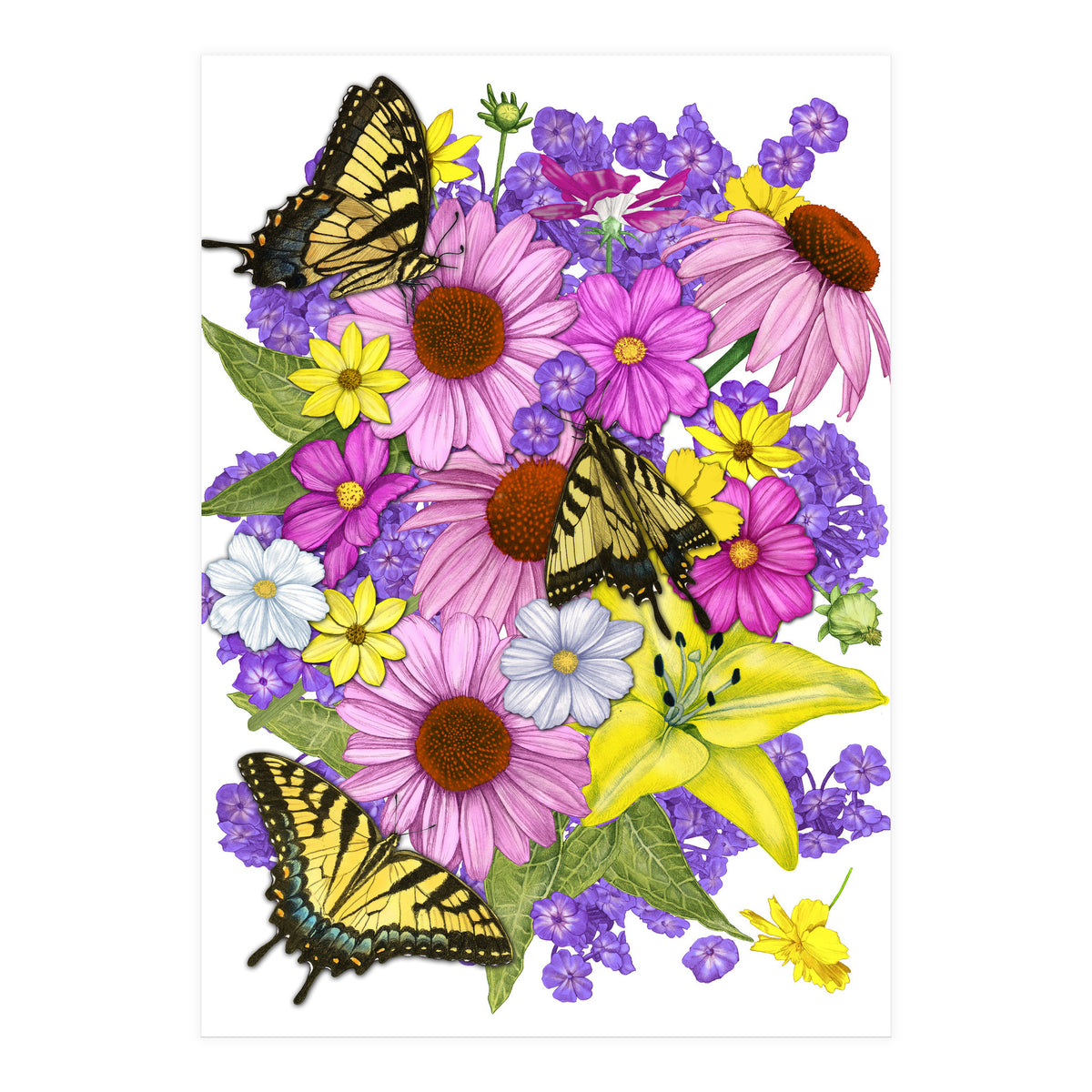 Corn Flowers and Swallowtails (Print Only)