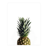 21 (Print Only) thumbnail