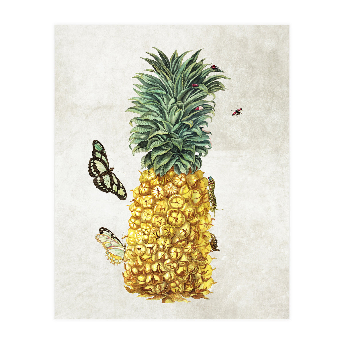 ananas (Print Only)