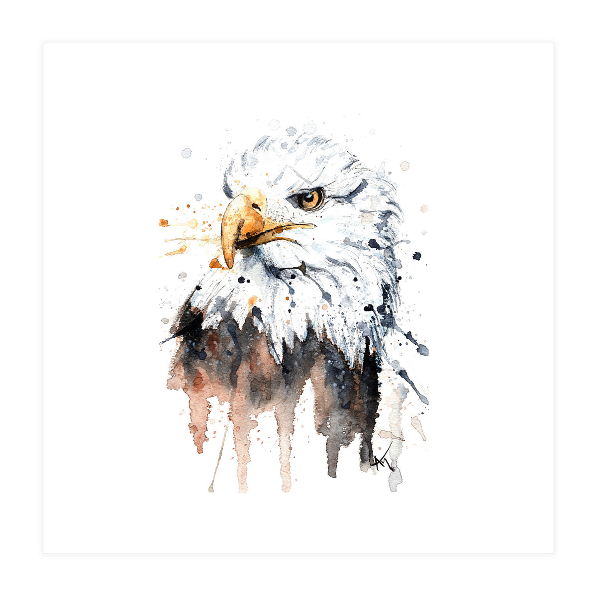 Bald Eagle - Wildlife Collection (Print Only)