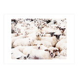 The Herd (Print Only) thumbnail