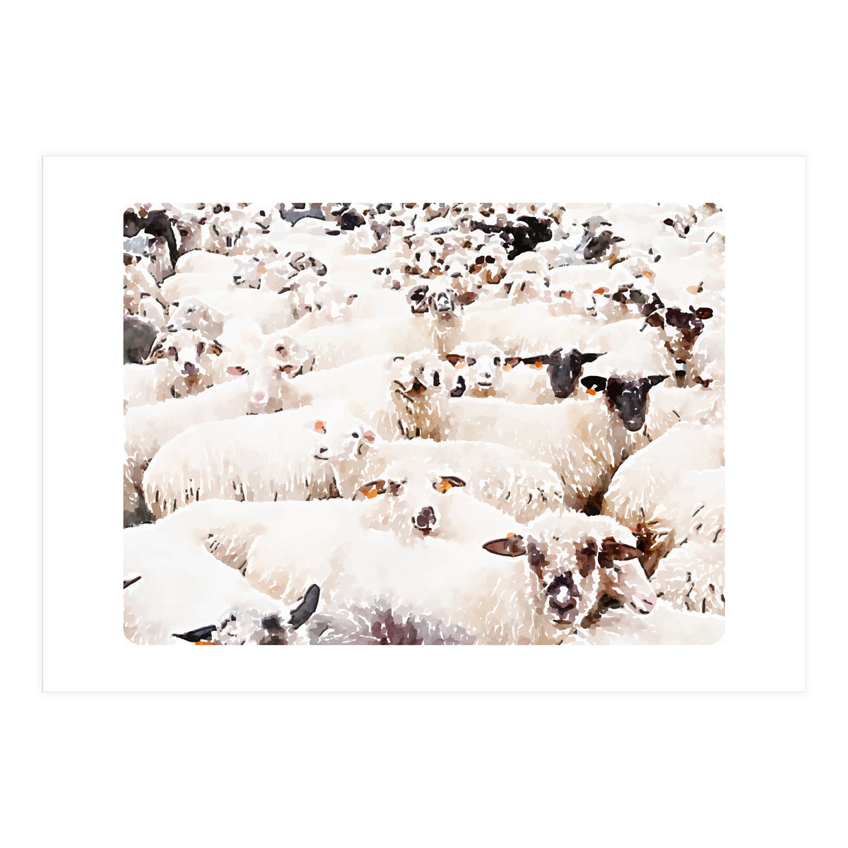 The Herd (Print Only)