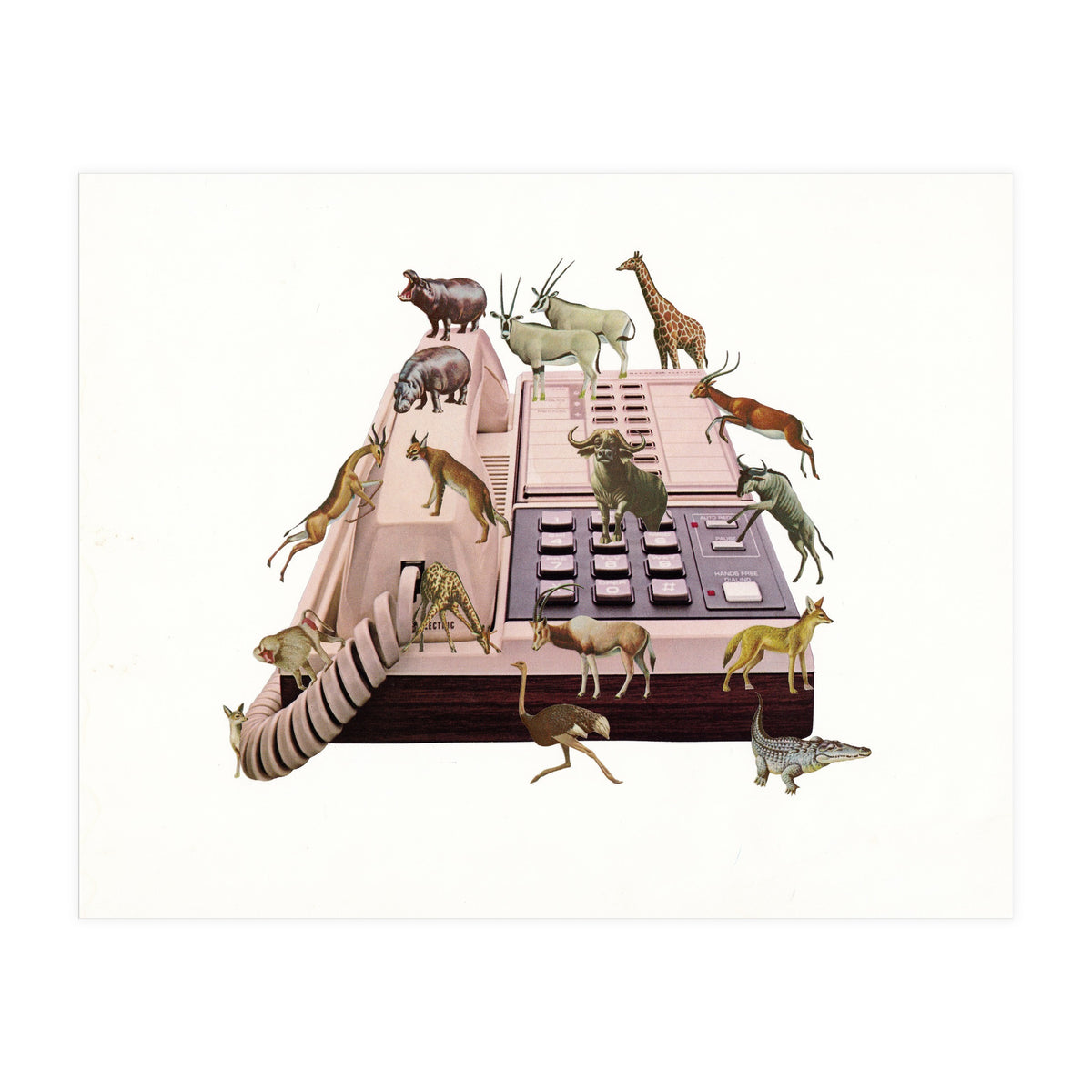 Wild Office (Print Only)