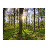Spring Sun (Print Only) thumbnail