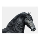 Friesian Horse (Print Only) thumbnail