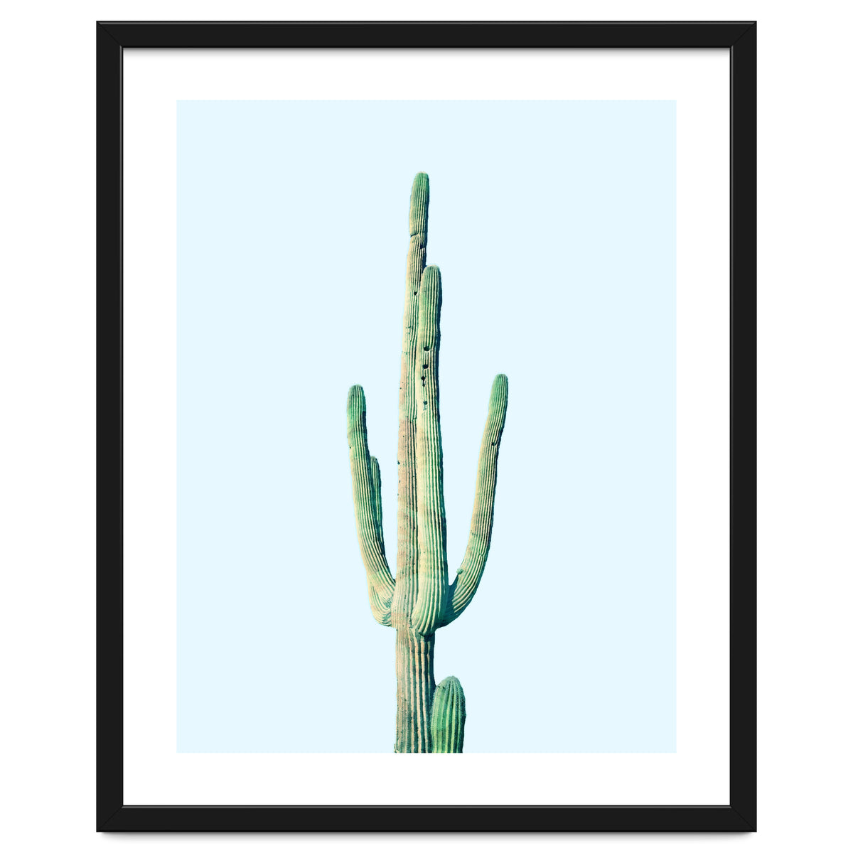 Loner Cactus