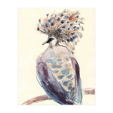 Crowned Pigeon (Print Only) thumbnail