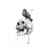 New Skull (bw) (Print Only) thumbnail