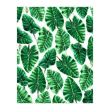 Taro (Print Only) thumbnail