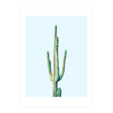 Loner Cactus (Print Only) thumbnail
