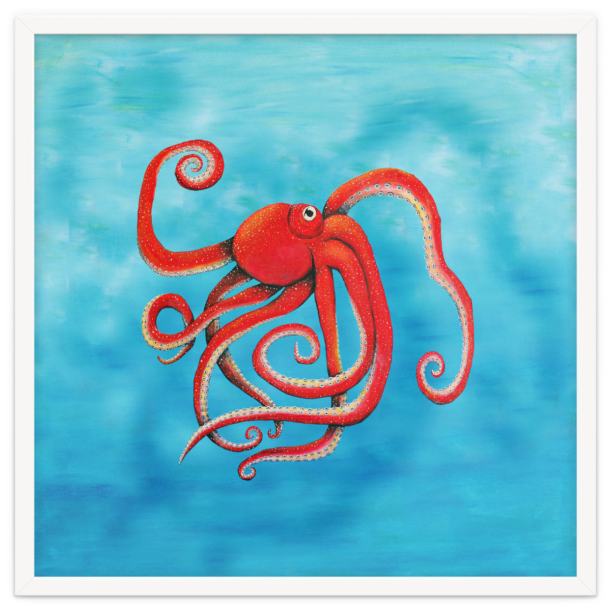 Octopus