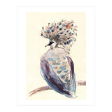 Crowned Pigeon (Print Only) thumbnail