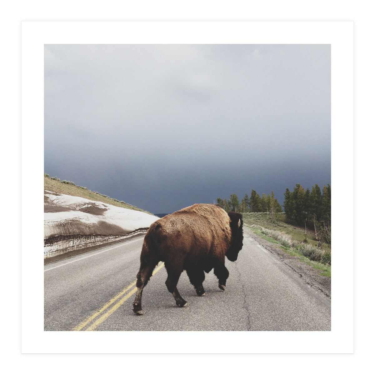 Street Walker (Print Only)