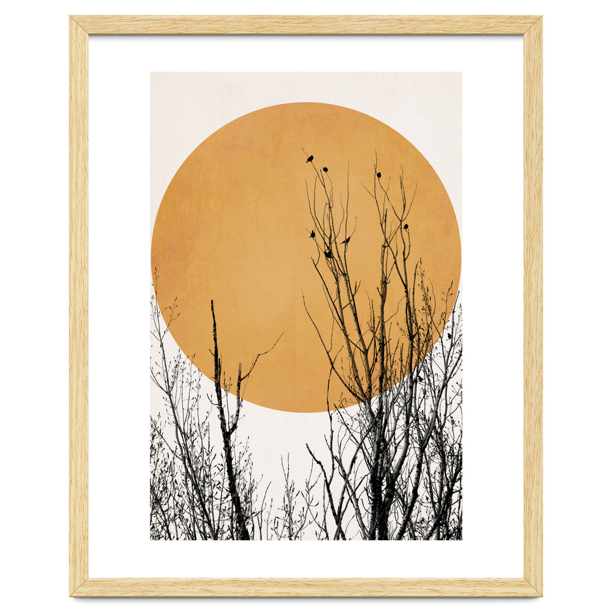 Sunset Dreams Yellow