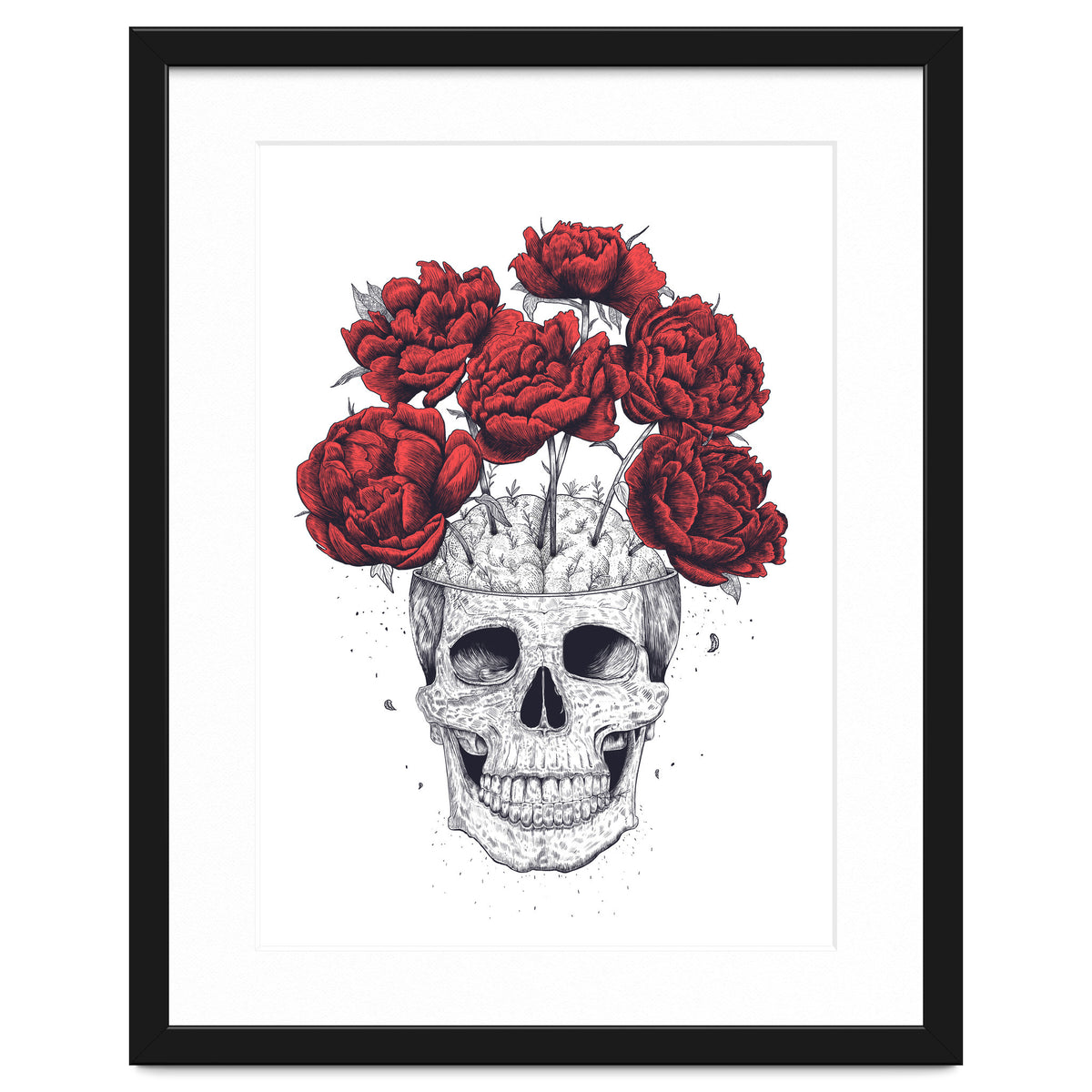 Skull With Peonies