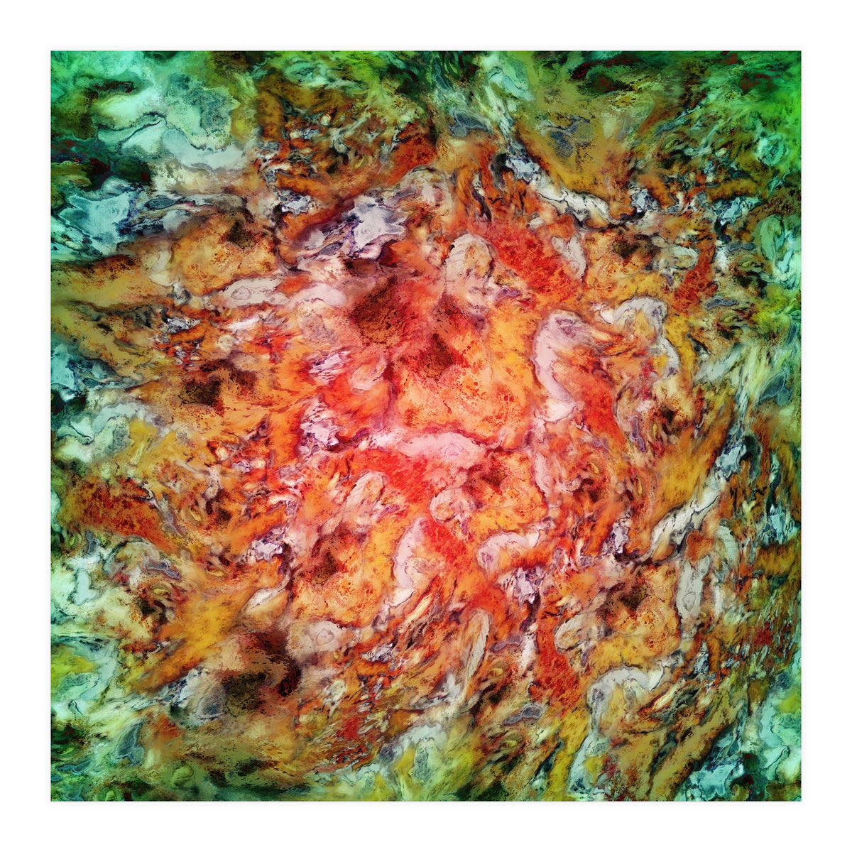 The Beautiful Evidence (Print Only)