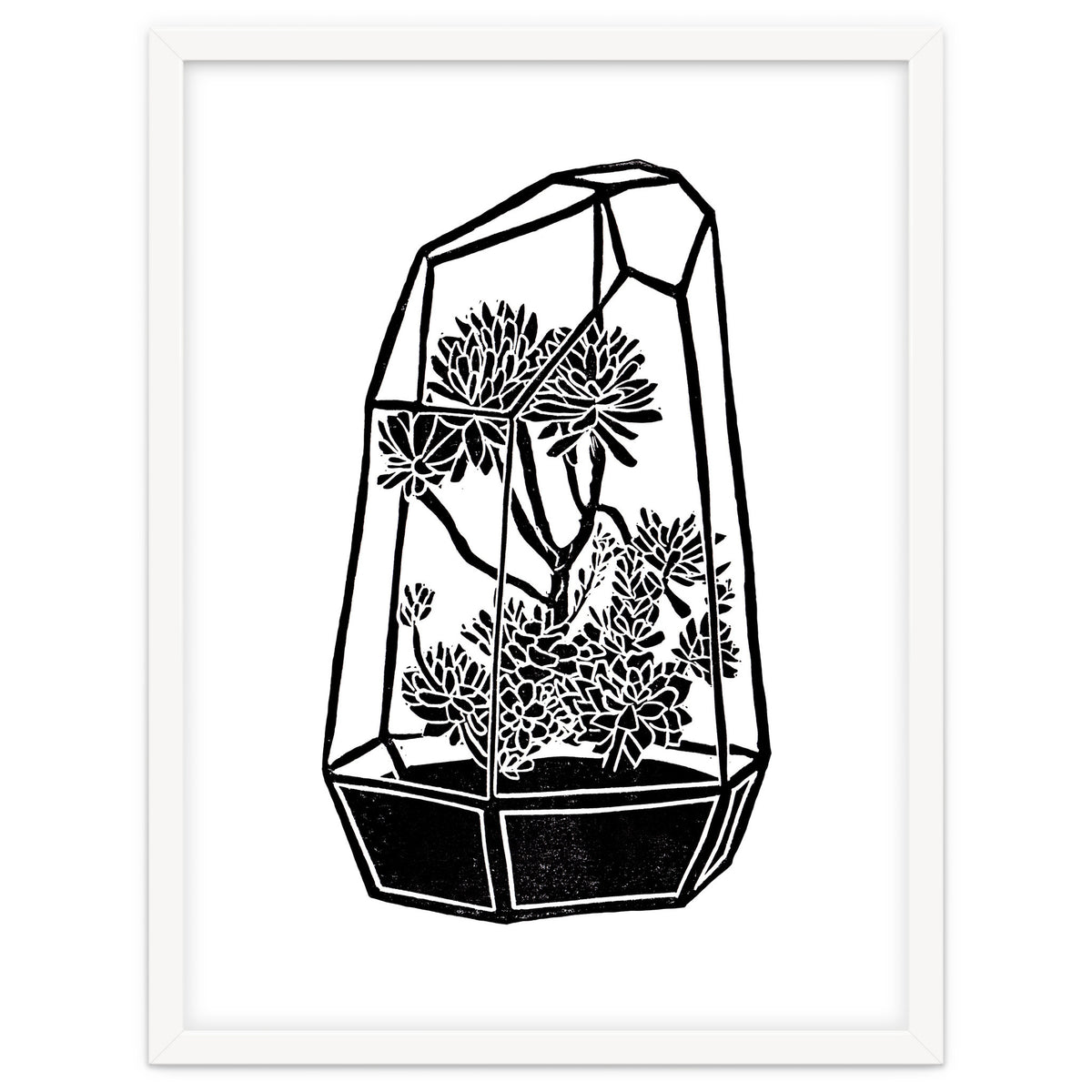 Terrarium