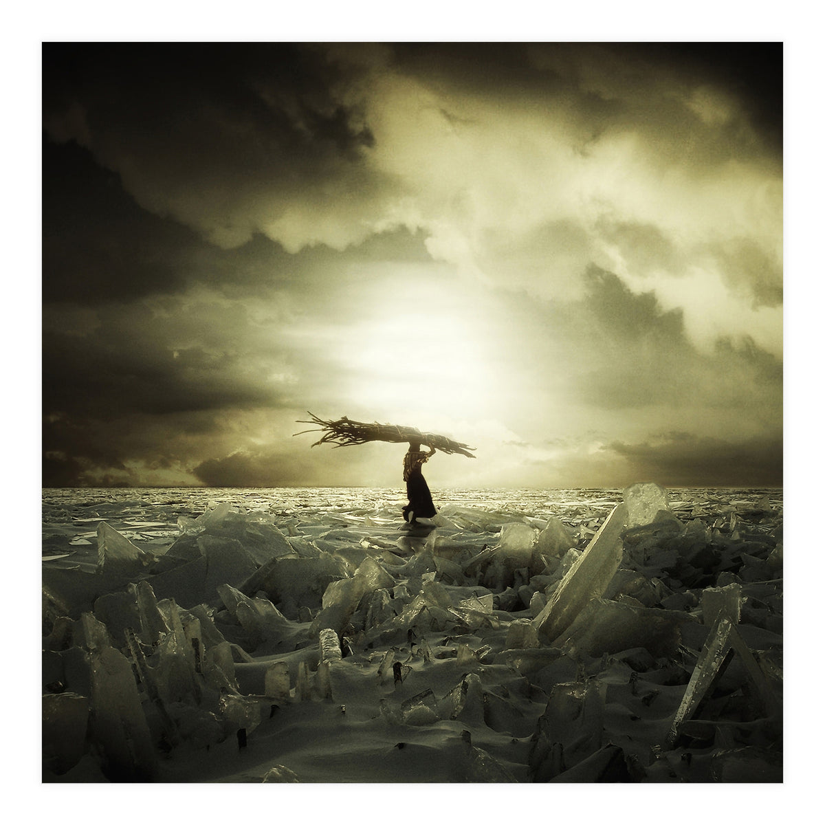 Frozen Nation (Print Only)