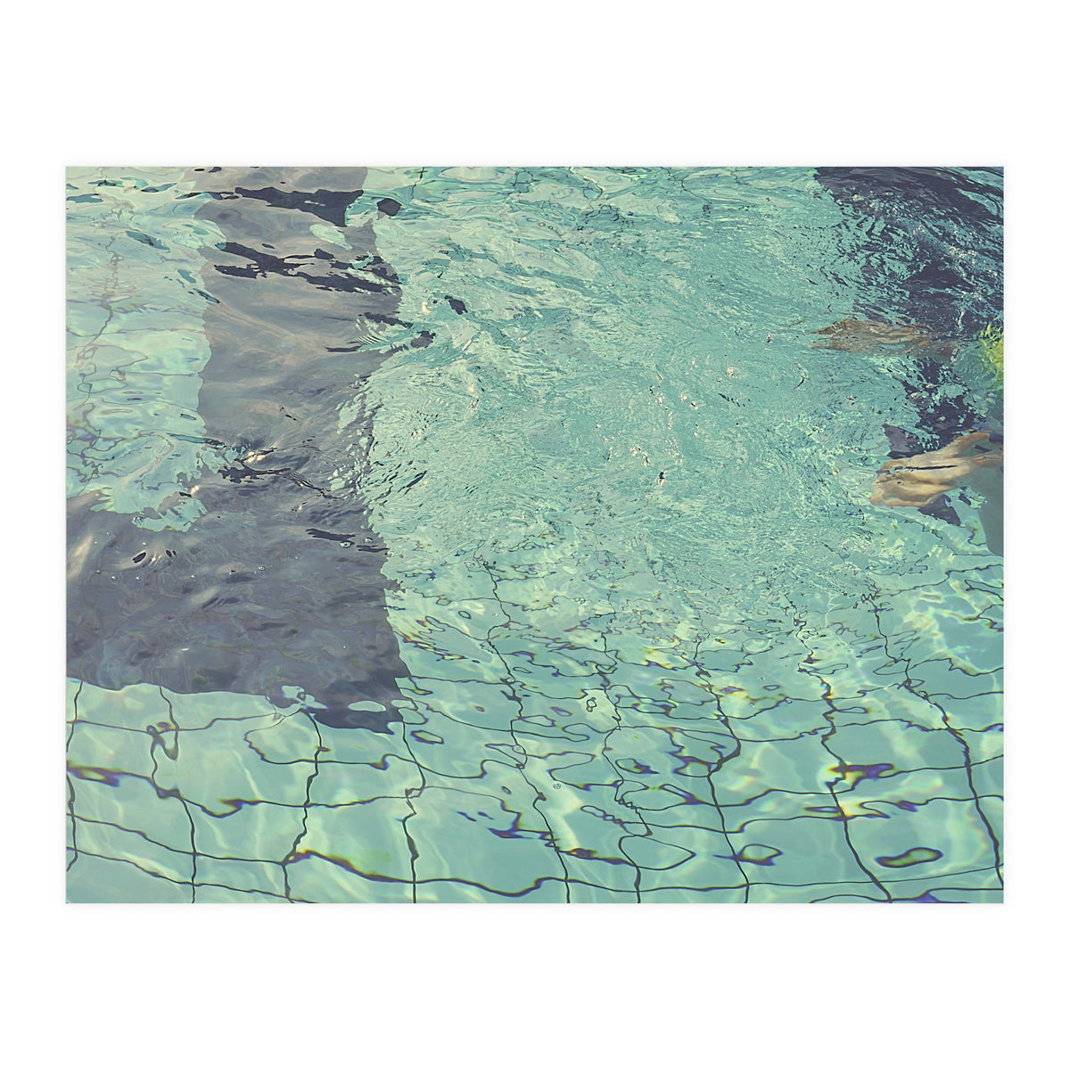 Pool Swimming (Print Only)