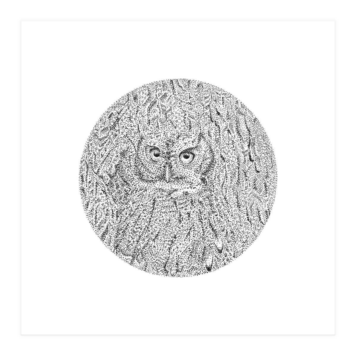 In Plain Sight (Print Only)