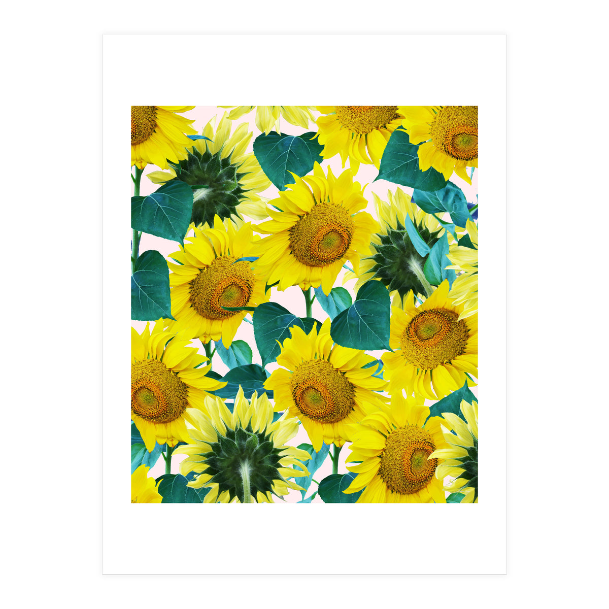 Sunflower (Print Only)