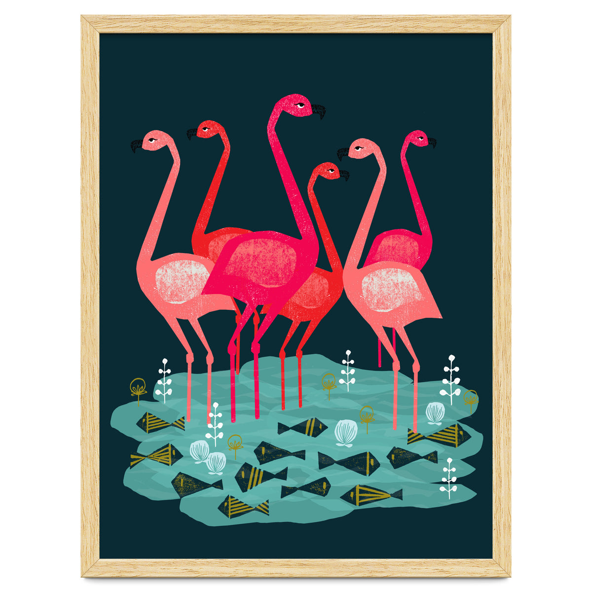 Flamingo