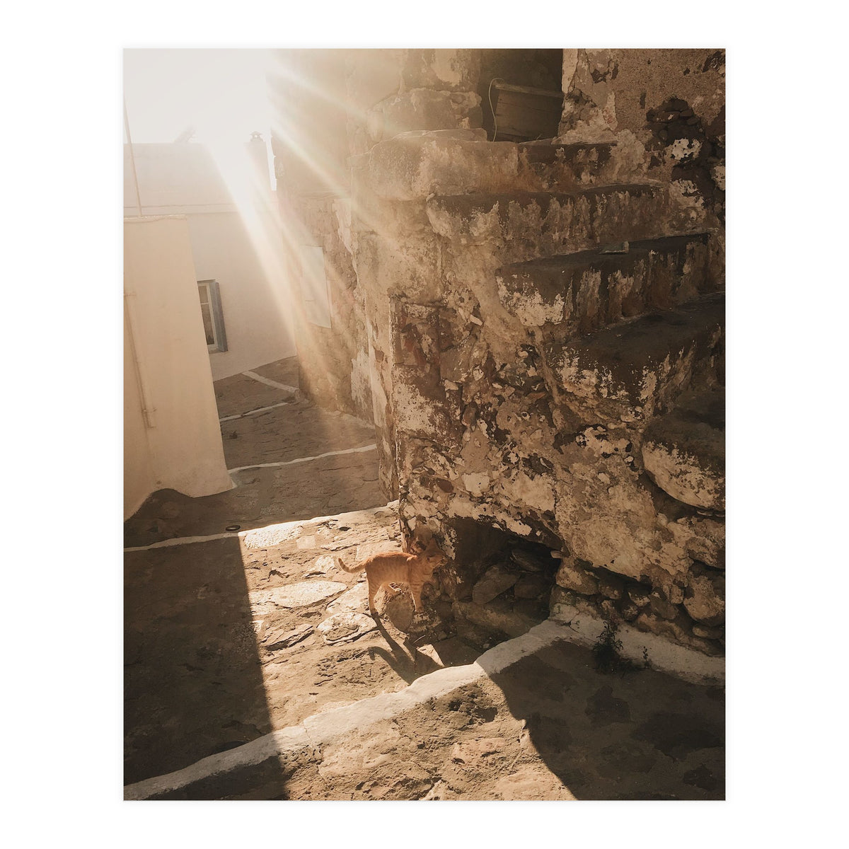 Milos VI (Print Only)