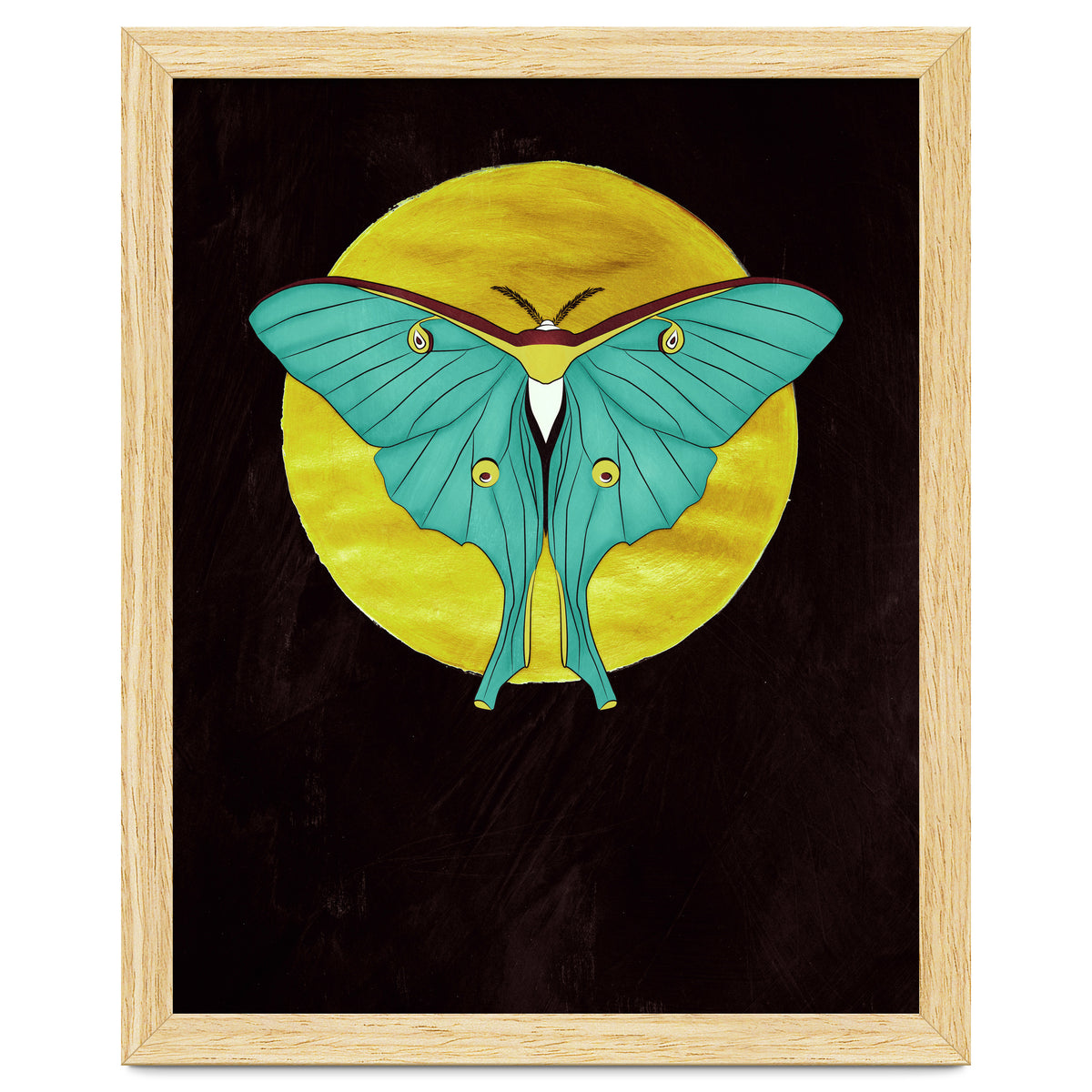 Luna Moth Moon