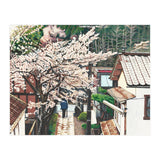 Passing by Cherry Blossoms (Print Only) thumbnail