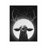 The Banyan Deer (Print Only) thumbnail
