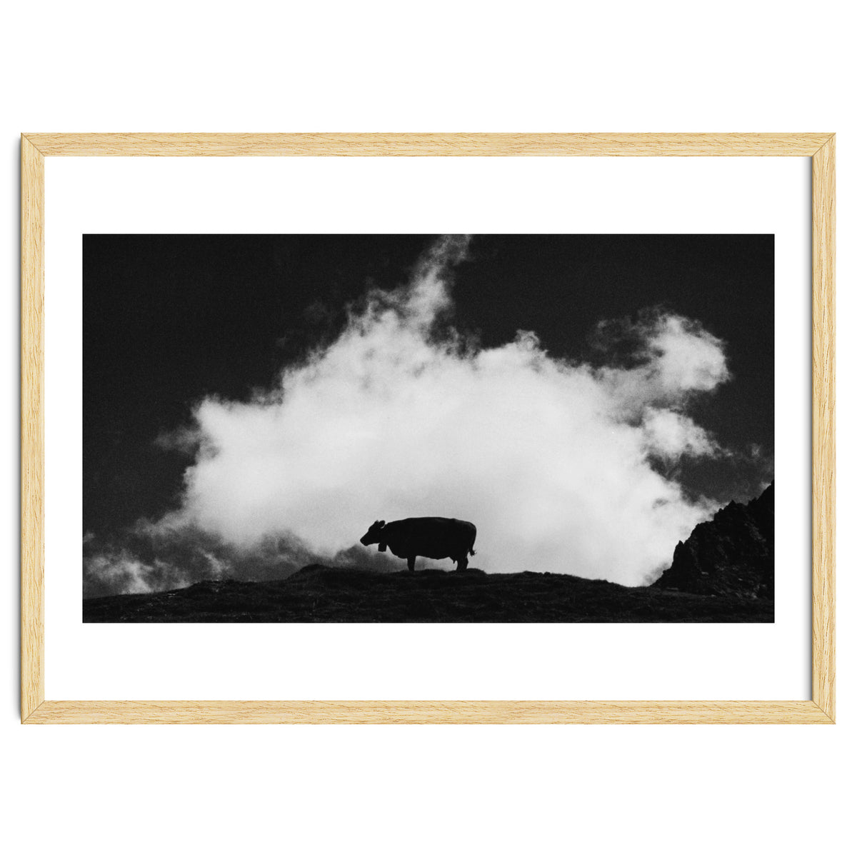 cow and cloud
