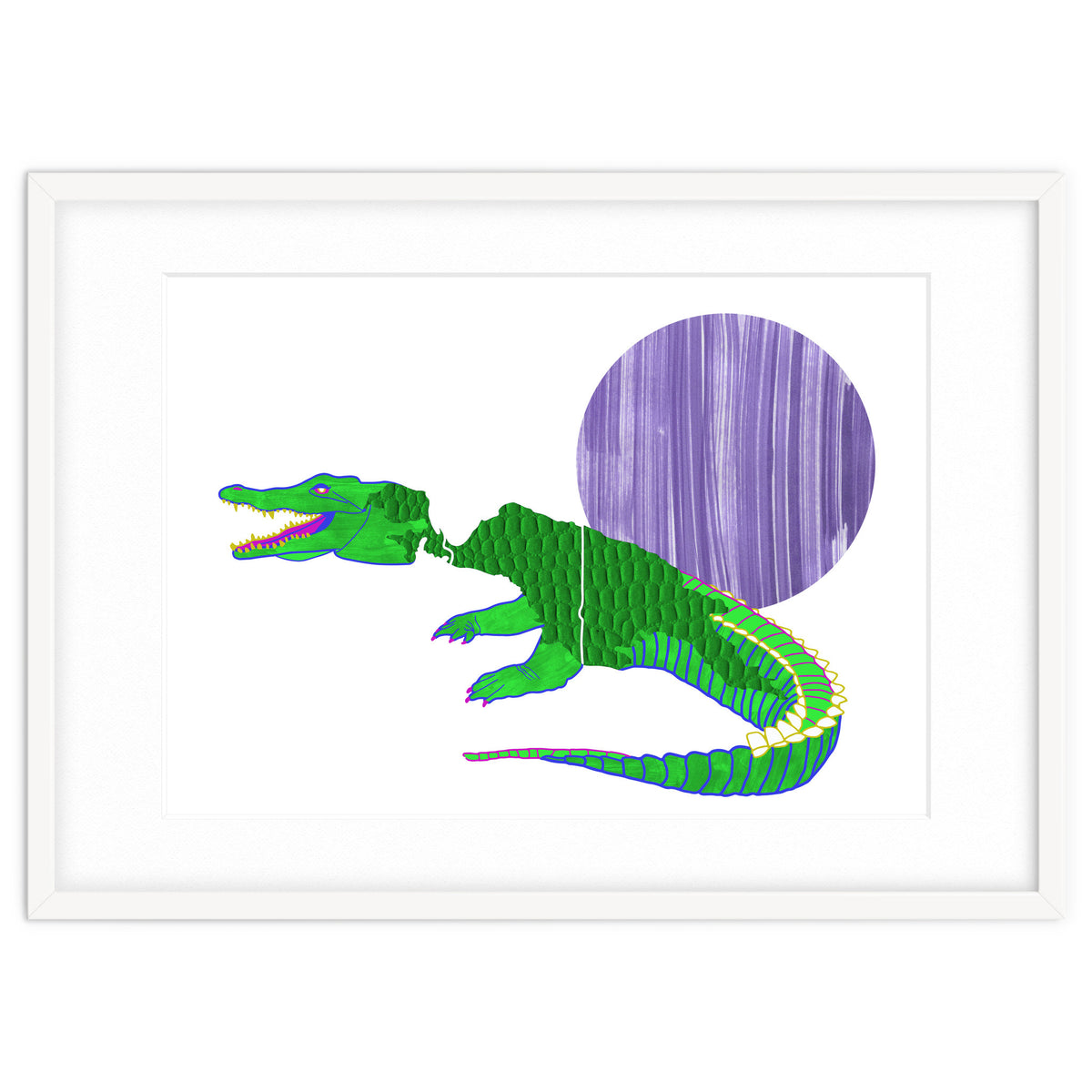 New Guinea Crocodile