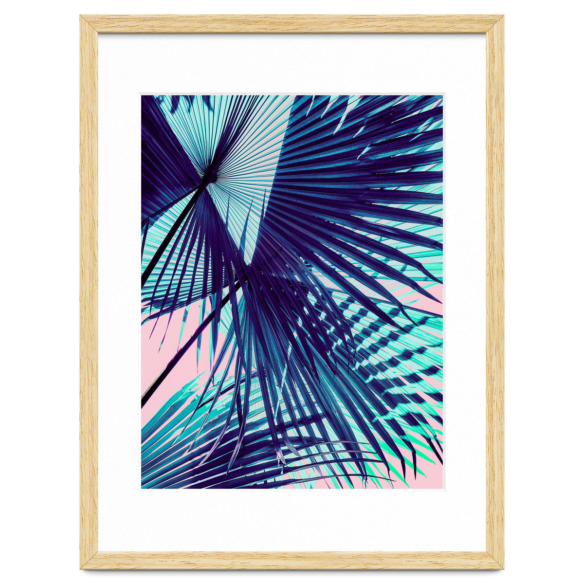 Palm leaf on the beach