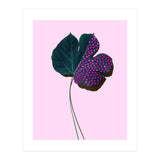foglia (Print Only) thumbnail