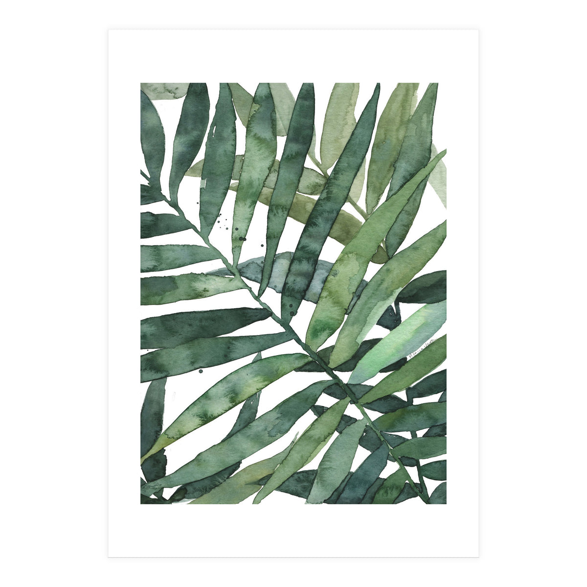 tropical 5 (Print Only)